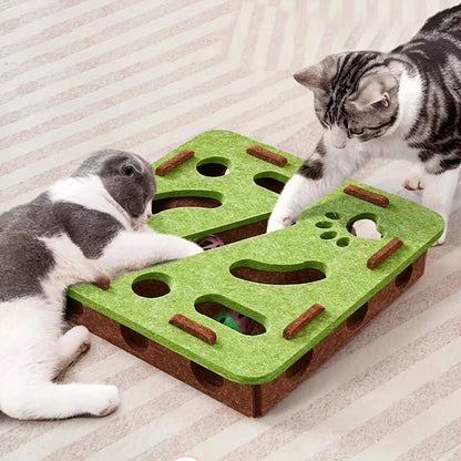 PurrMaze Play Box