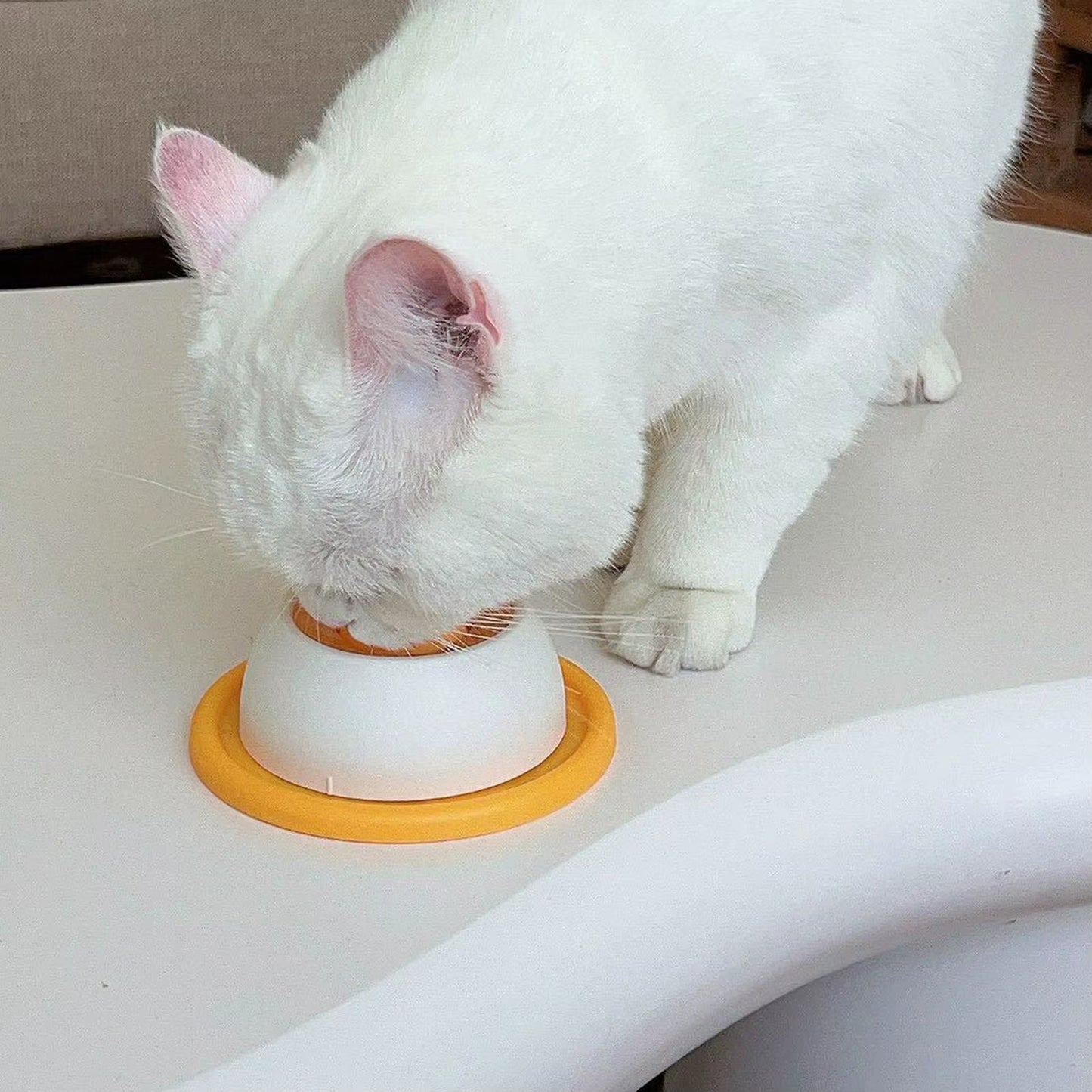 PawLuxe Lick Bowl